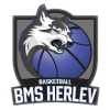 Herlev Wolfpack