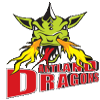 Artland Dragons