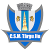 Csm Targu Jiu 2