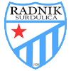 Radnik