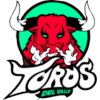 Toros del Valle