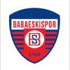 Babaeskispor