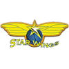 Starwings Basket Regio Basel