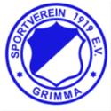 SV 1919 Grimma