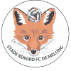 Stade Renard