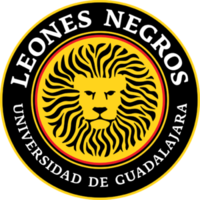 Leones Negros