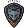 Home Team Logo