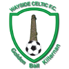 Wayside Celtic