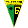 Gwarek T. G.