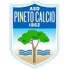 Pineto