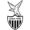 Atletico Fenix Reserves