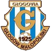 Glogovia Glogow Malopolski