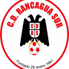 CD Rancagua Sur