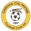 Cessnock City Hornets