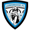 Lionsbridge FC