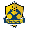 Ekwendeni Hammers