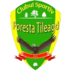 CS Foresta Tileagd