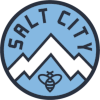 Salt City