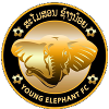 Young Elephant FC