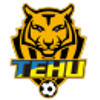 Nanjing Tehu Football Club