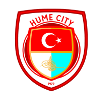 Home Team Logo